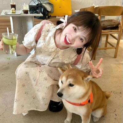 浴火 海报