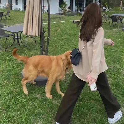 我的意外老公 海报
